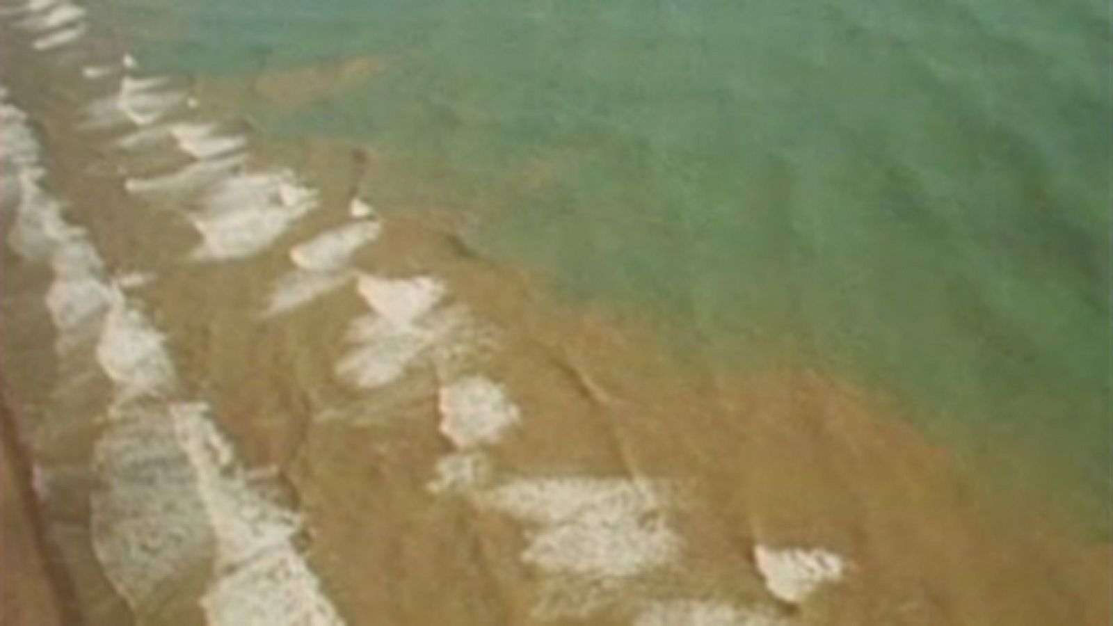 Barlovento - Desembocaduras: delta del Ebro - Barlovento | Ver