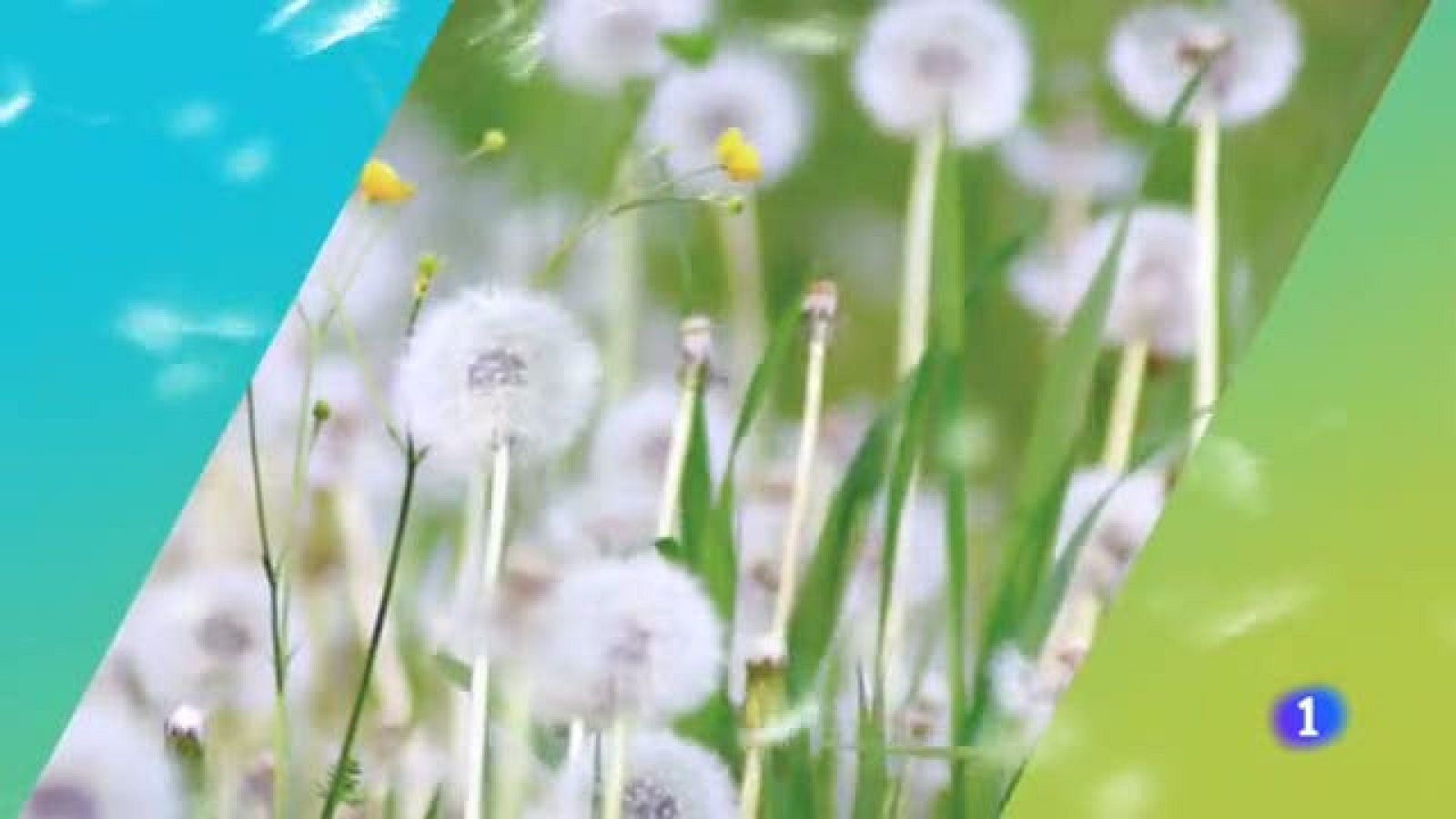 El tiempo en Galicia - 21/03/19