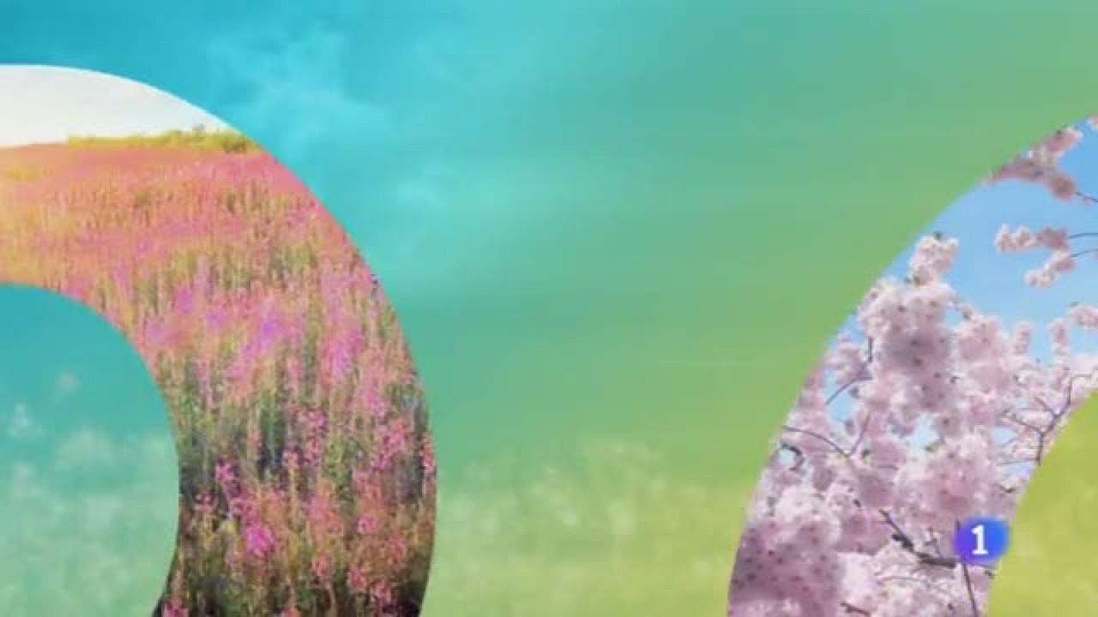 El Tiempo en Castilla-La Mancha - 21/03/19 | Ver