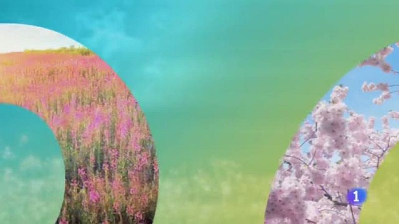 El Tiempo en Castilla-La Mancha - 21/03/19 | Ver