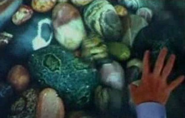 Zoom net - El nuevo sist. operativo Windows 7