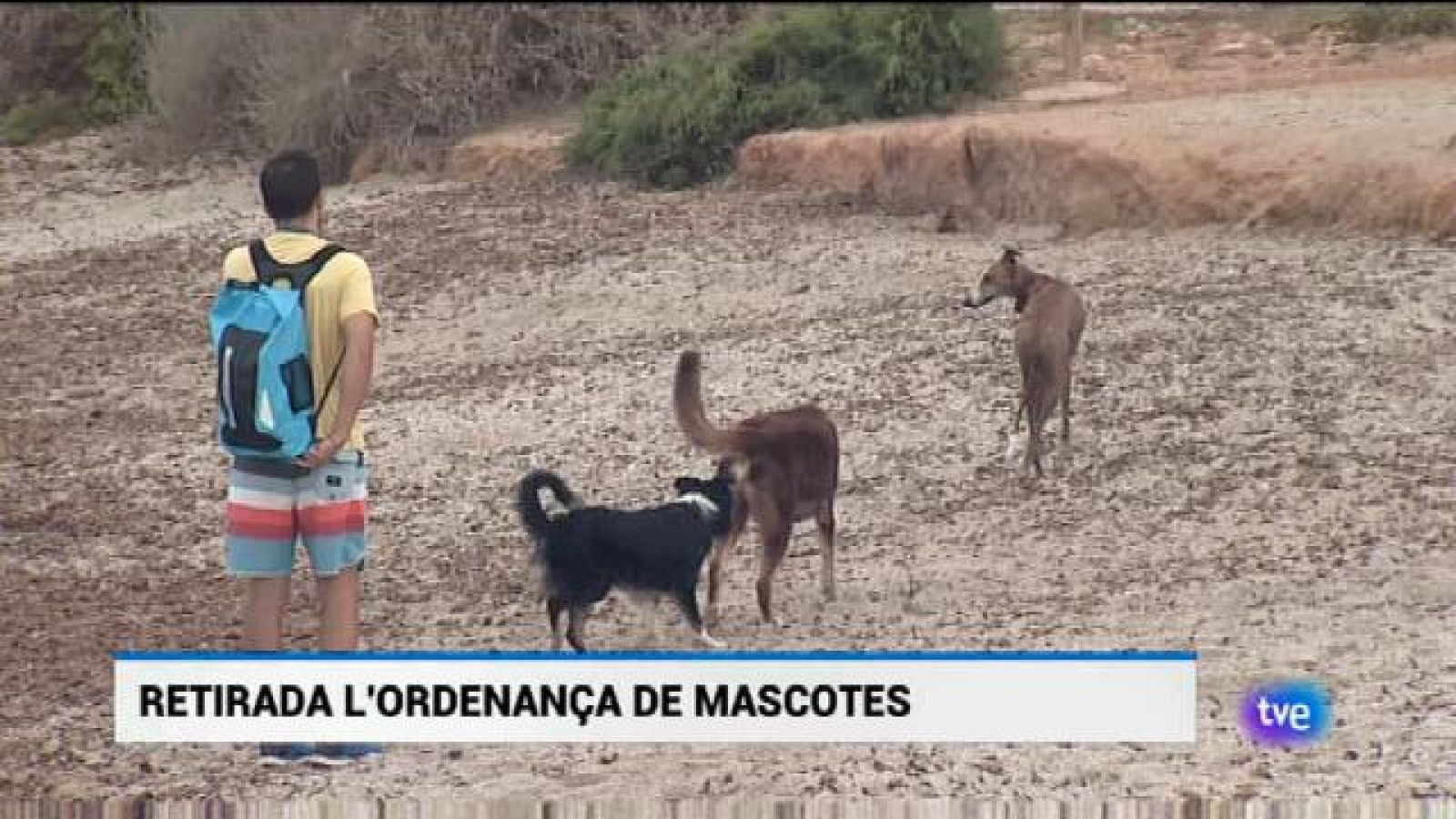 Informatiu Balear en 2' - 22/03/19