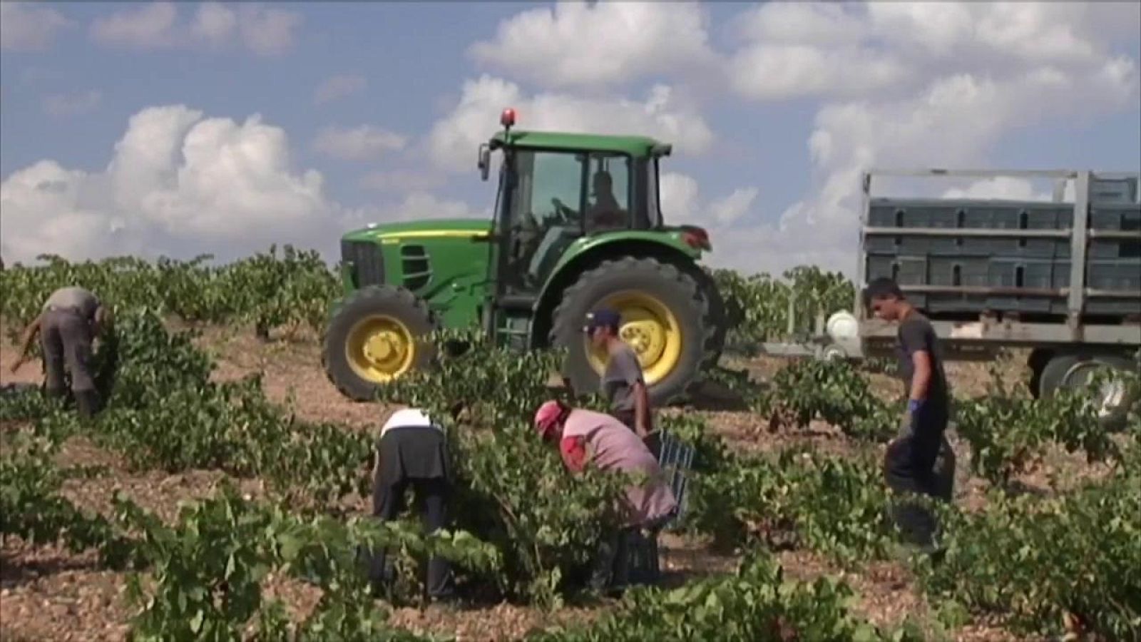 Agrosfera - 23/03/19 - ver ahora