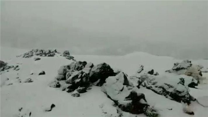 Telecanarias - Canarias en 2' - 25/03/2019