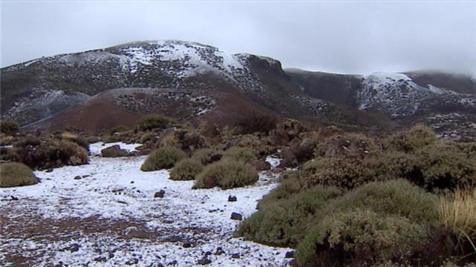 Telecanarias - 25/03/2019