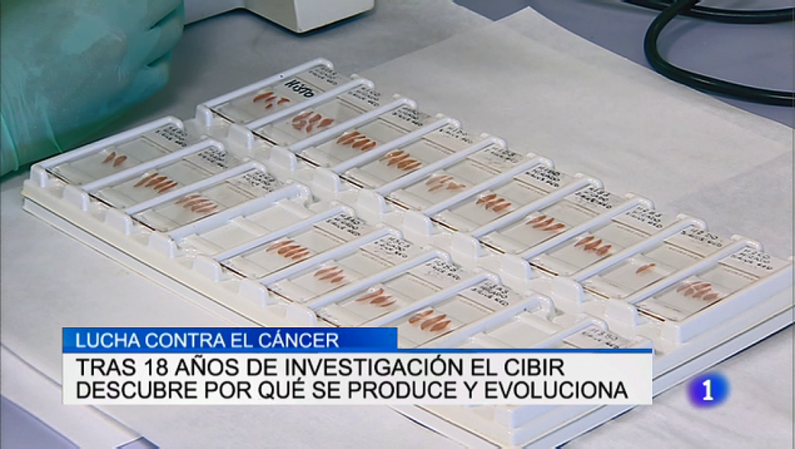 Informativo Telerioja 2 - 25/03/19