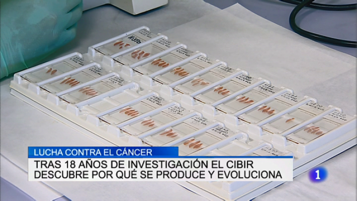 Informativo Telerioja - Informativo Telerioja 2 - 25/03/19