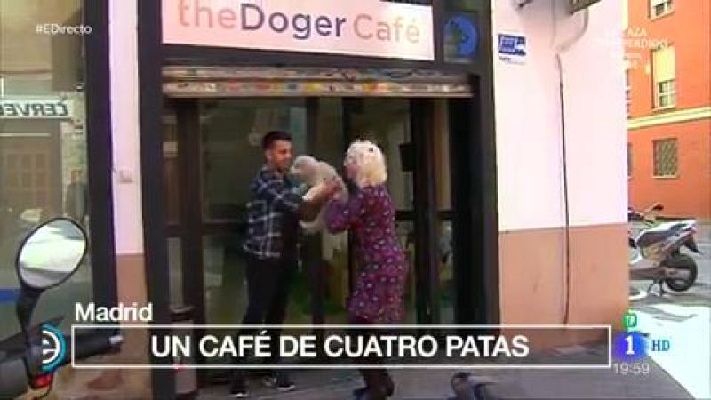 Primera cafetería donde se puede adoptar un perro | Ver