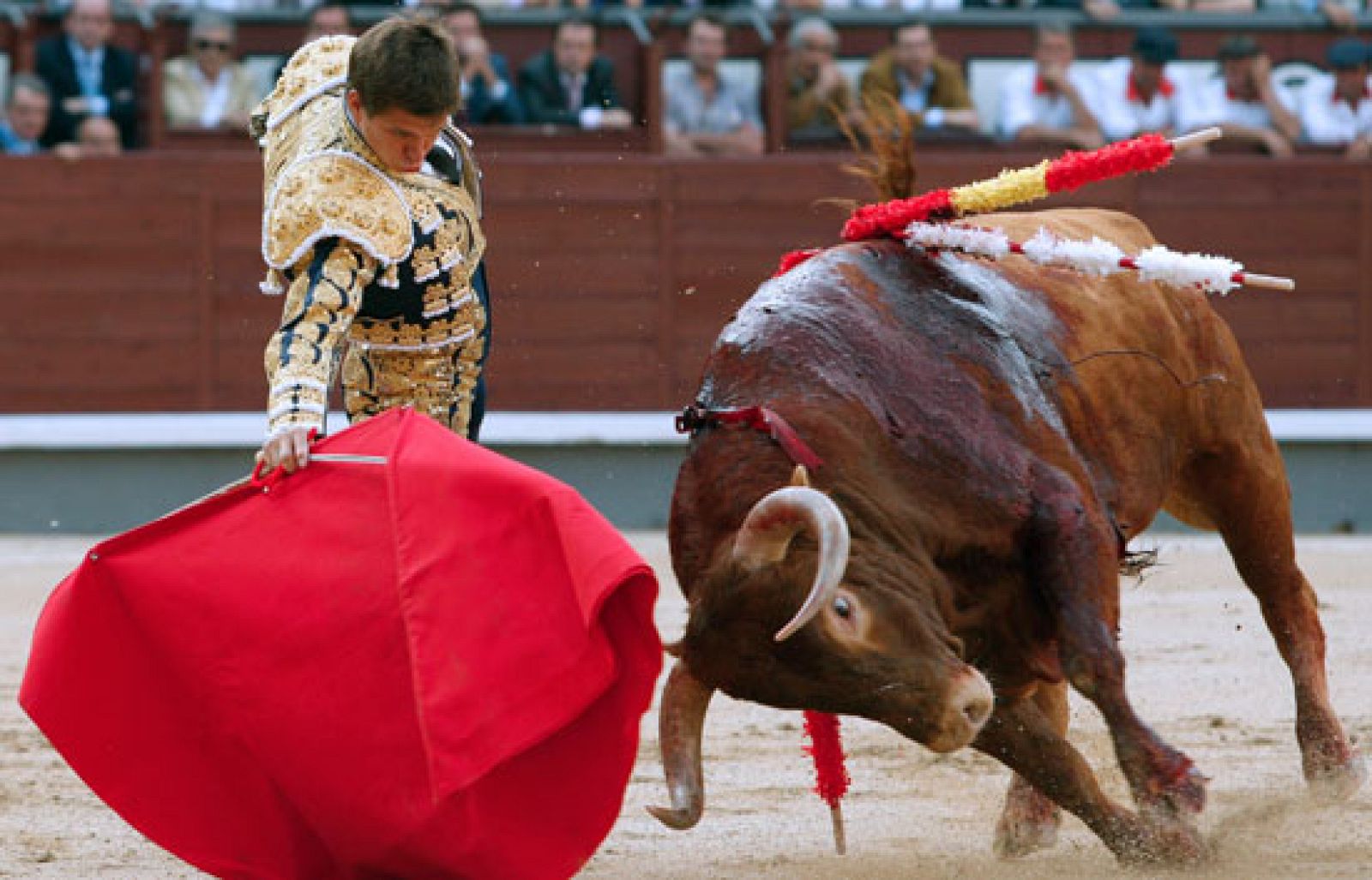 Entrevista a Julián López Escobar, 'El Juli' | Ver