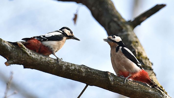 Informativo de Madrid - El Tiempo en la Comunidad de Madrid - 26/03/19