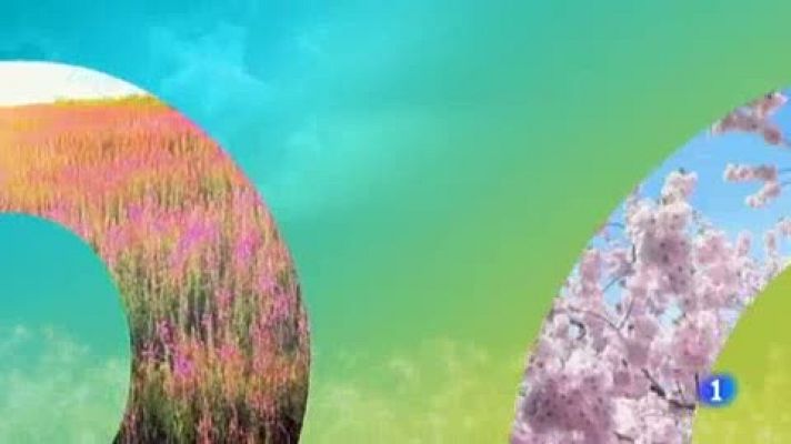 Telenorte - País Vasco - El tiempo en el País Vasco - 26/03/19