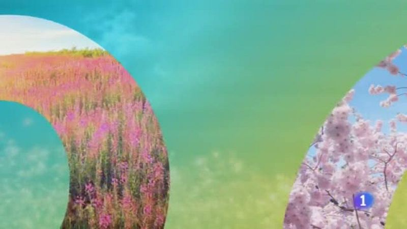 El Tiempo en Castilla-La Mancha -26/03/19 | Ver