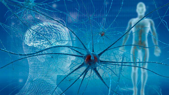 Telediario 1 - Demuestran que el cerebro humano genera nuevas neuronas hasta los 90 años