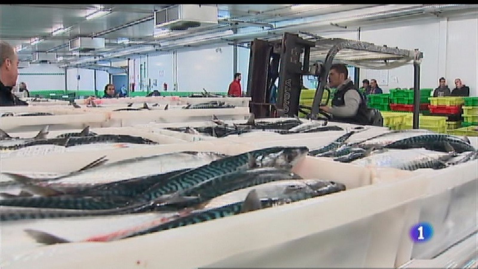 Panorama Regional 2 - 26/03/19 | Ver