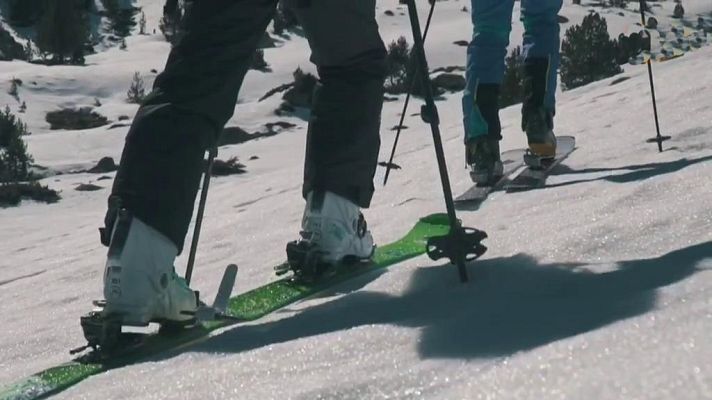 Evasión - T7 - Programa 5