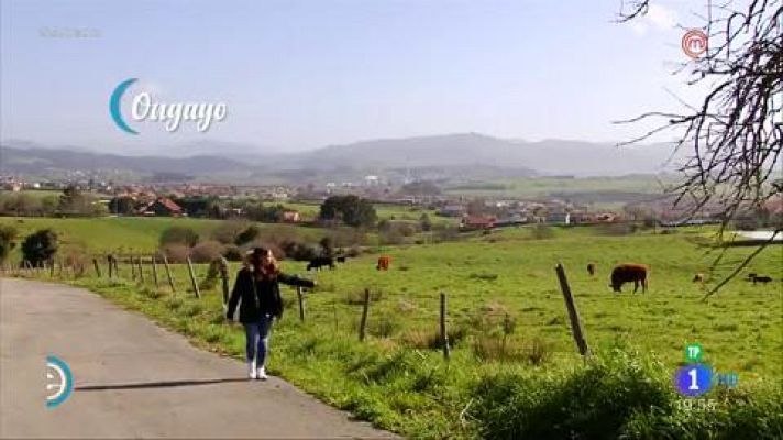 España Directo - Domador de caballos con la técnica india