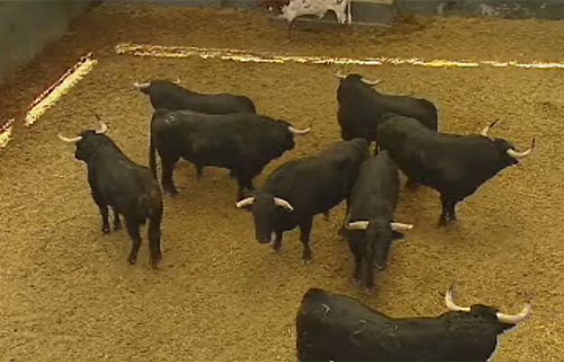  - Lo que no se ve de los toros