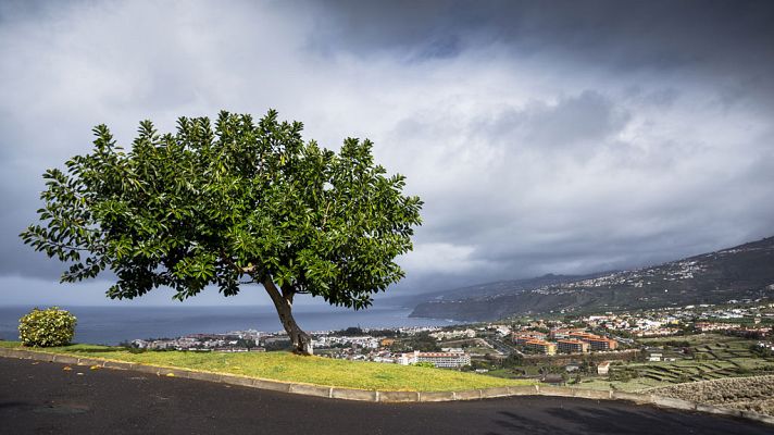 El tiempo - Viento fuerte en el Estrecho y lluvias localmente fuertes en Canarias