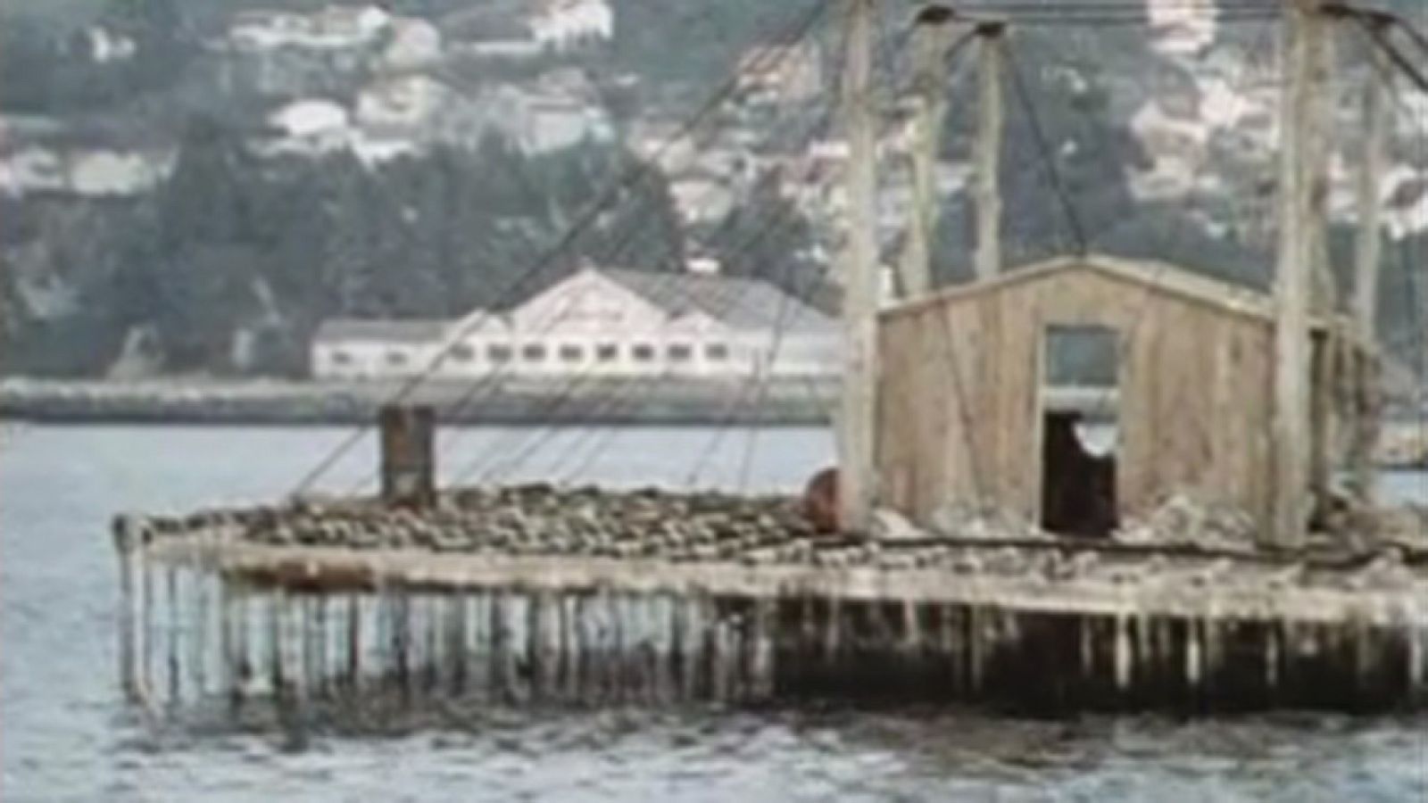 Barlovento - Un mar a la deriva - Barlovento | Ver