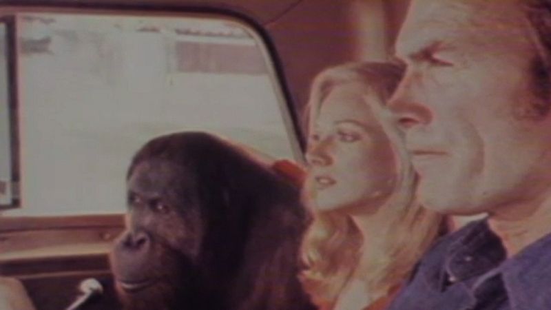 De película - En torno a Clint Eastwood - De película | Ver