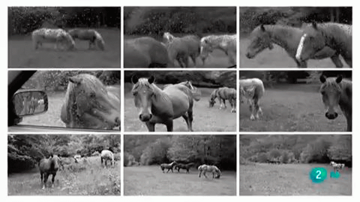 La aventura del Saber - la aventura del saber.Boek visual:Jordi Calafell.
