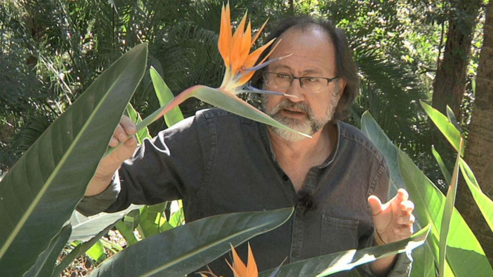En la selva, sin salir de Málaga