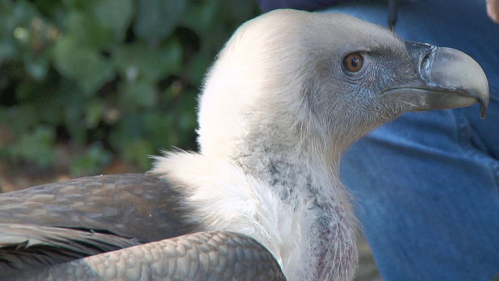 Aquí la Tierra - 29/03/19 - ver ahora