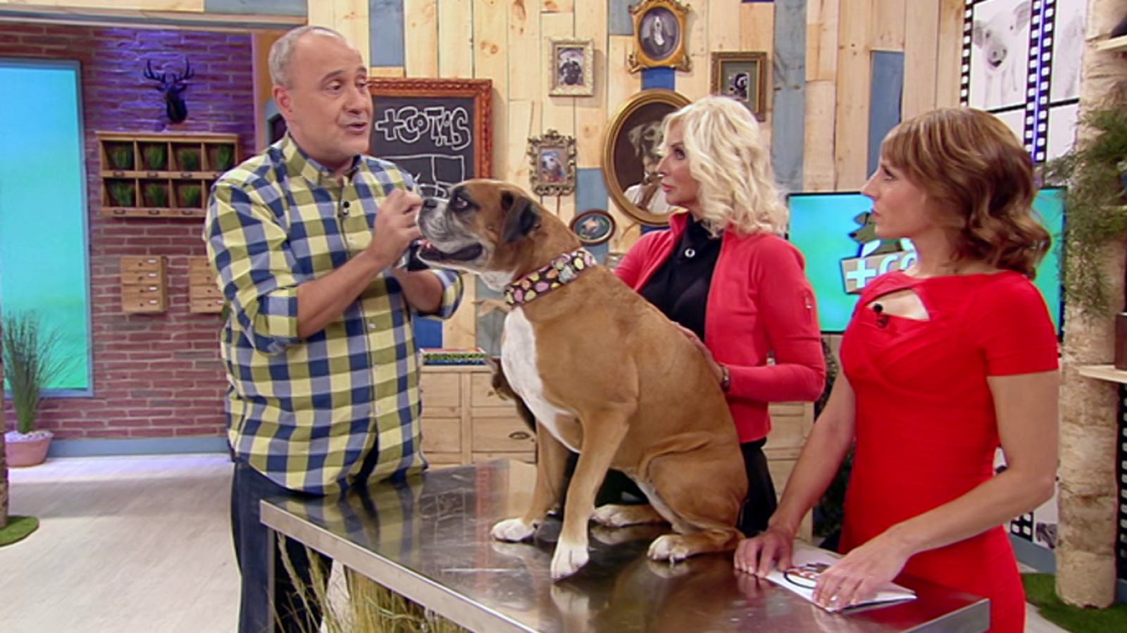 +Cotas - Programa 9 - ver ahora