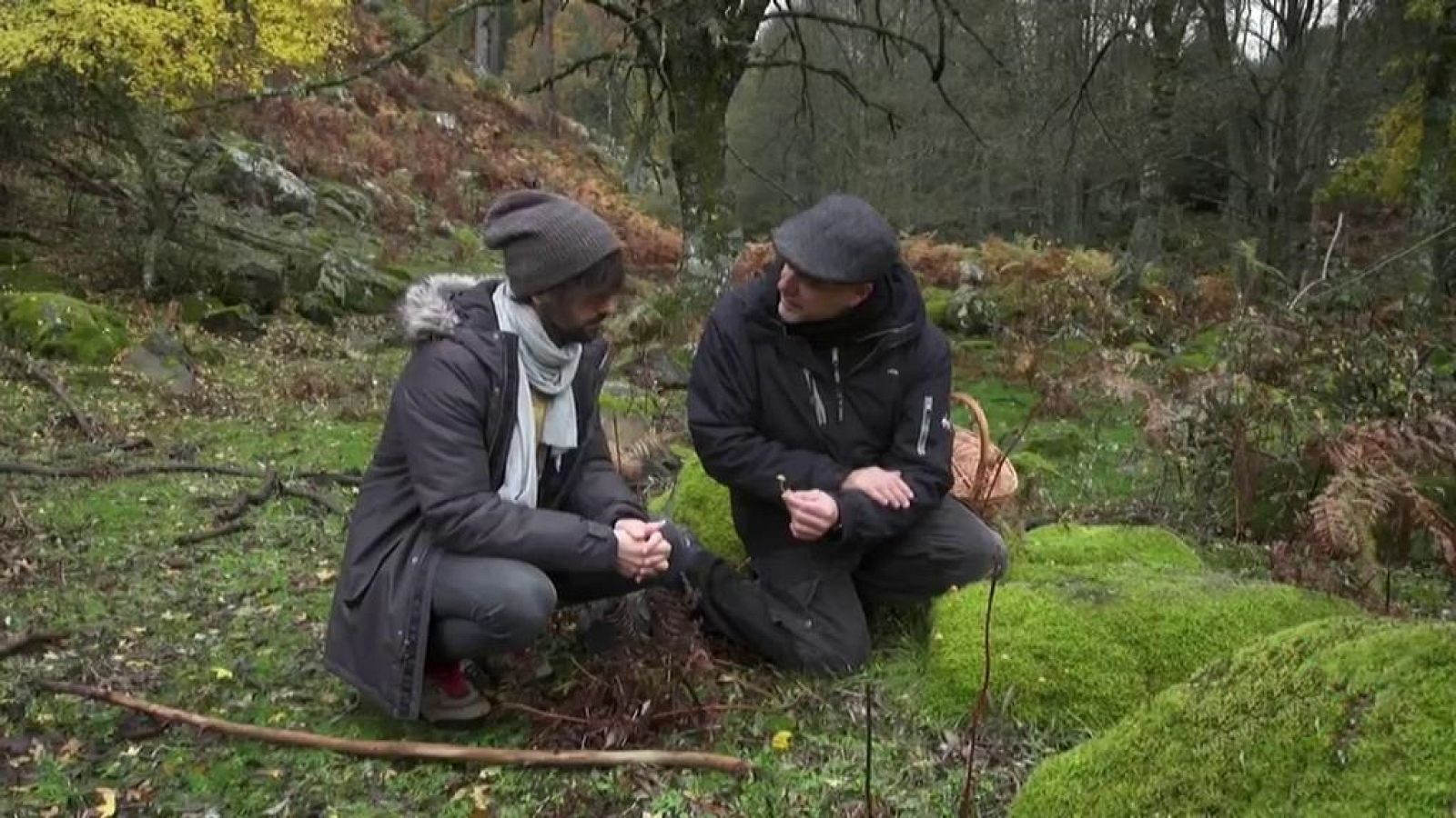 El señor de los bosques - Valle de Iruelas - ver ahora
