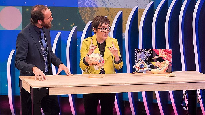 Órbita Laika - Programa 3: Viaje alucinante al fondo de tu cerebro