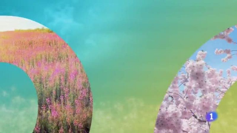 El Tiempo en Castilla-La Mancha - 02/04/19 | Ver