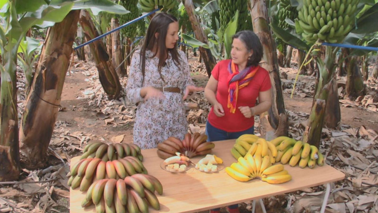 El plátano no es solo amarillo