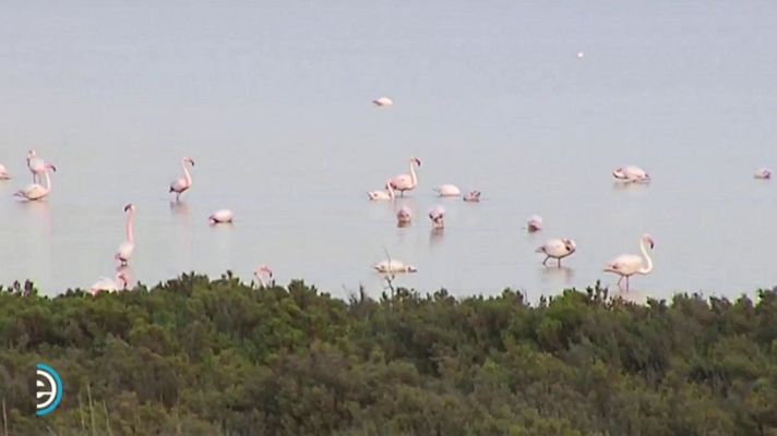 España Directo - España Directo - 02/04/19