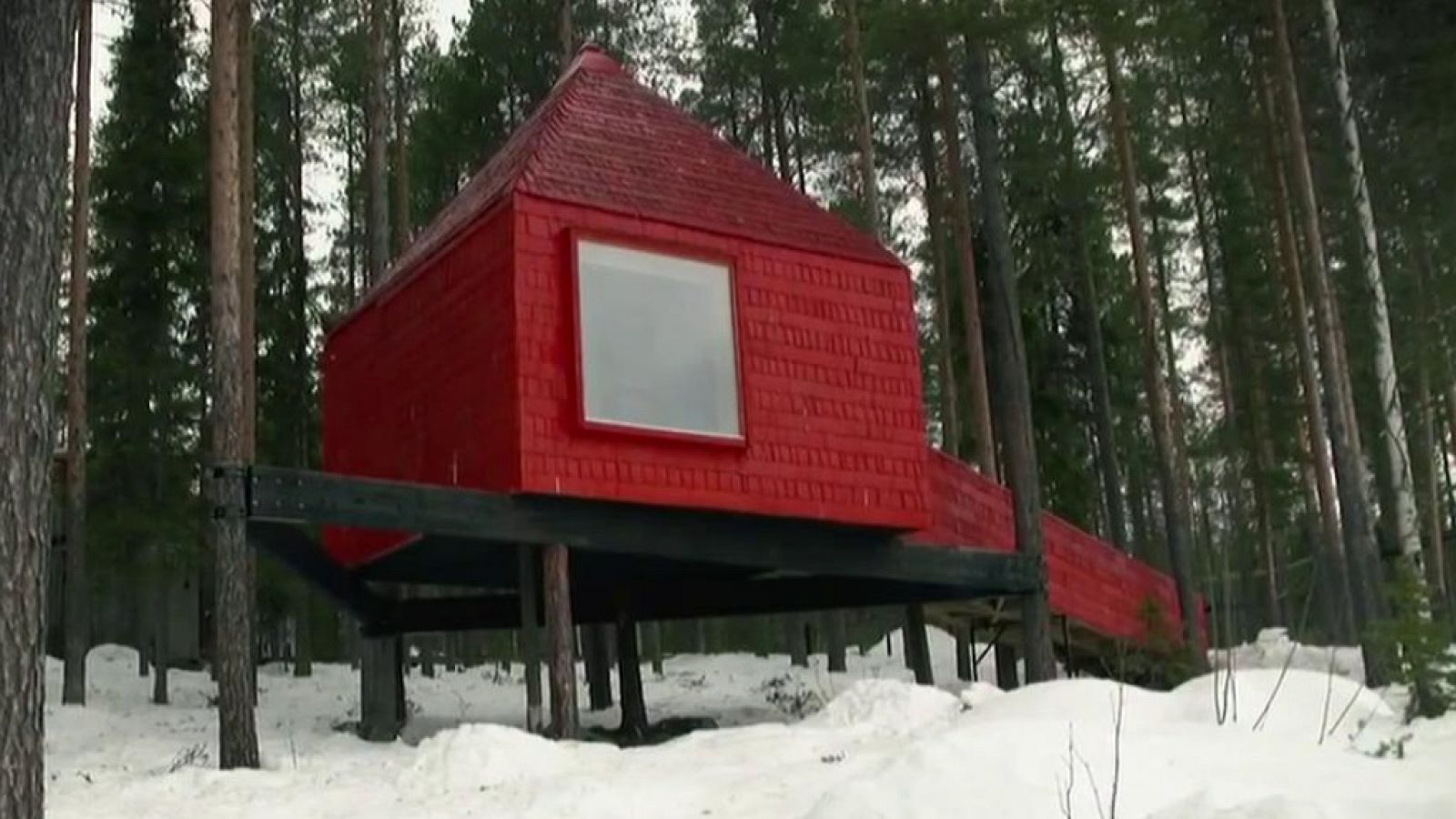 Otros documentales - Construcciones ecológicas: Dormir en los árboles - ver ahora