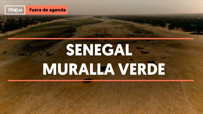 Modo Digital - ¿Conoces la gran Muralla Verde de Senegal?