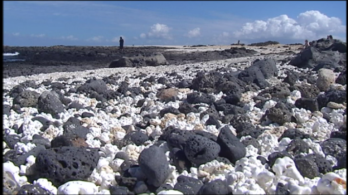 Telecanarias - Telecanarias 2 - 02/04/2019