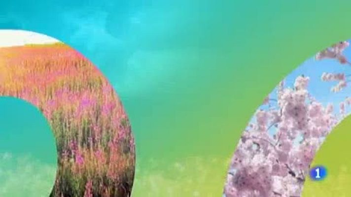 Telenorte - País Vasco - El tiempo en el País Vasco - 03/04/19