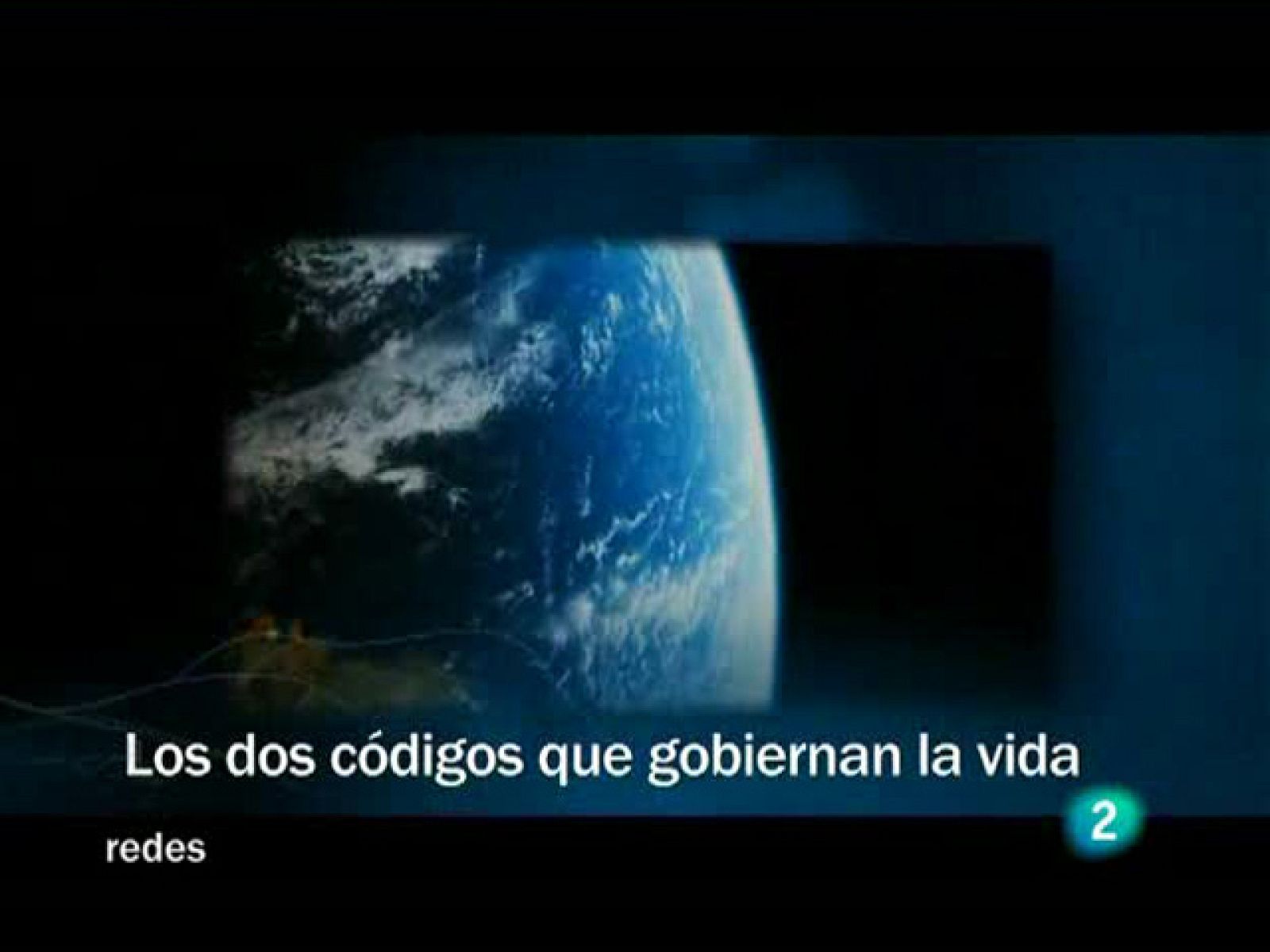Redes (24/05/09) :  "Los dos códigos que gobiernan la vida"