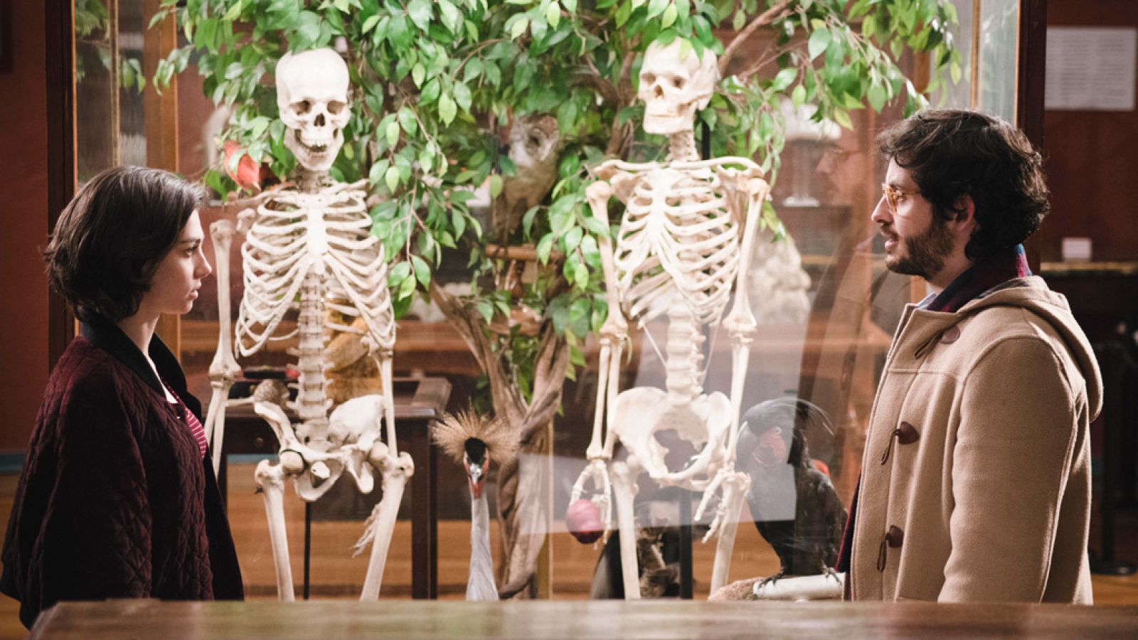 Cuéntame cómo pasó - Así comienza el capítulo 351: "La vida es una caja de sorpresas"