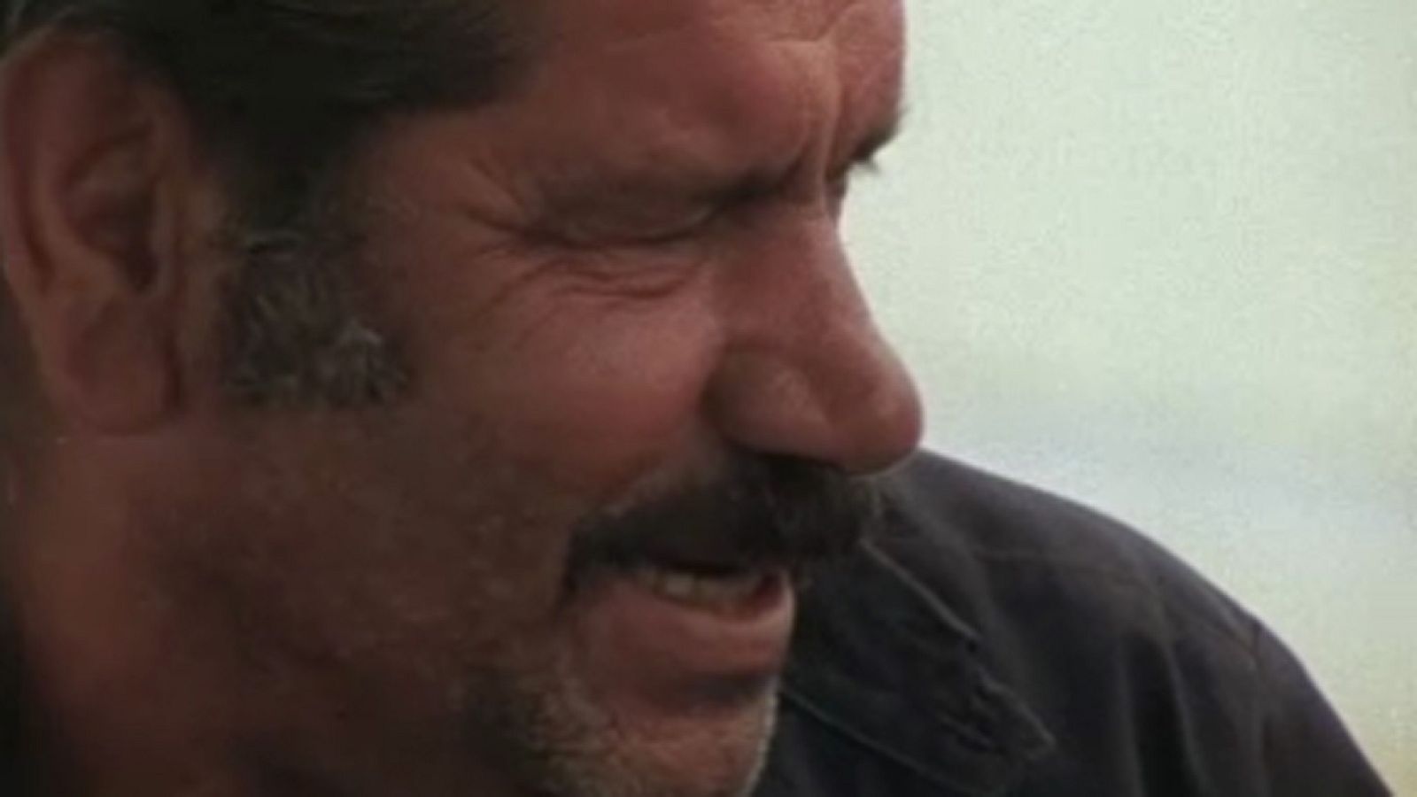 Raíces - Las tablas de Icod - Raíces | Ver