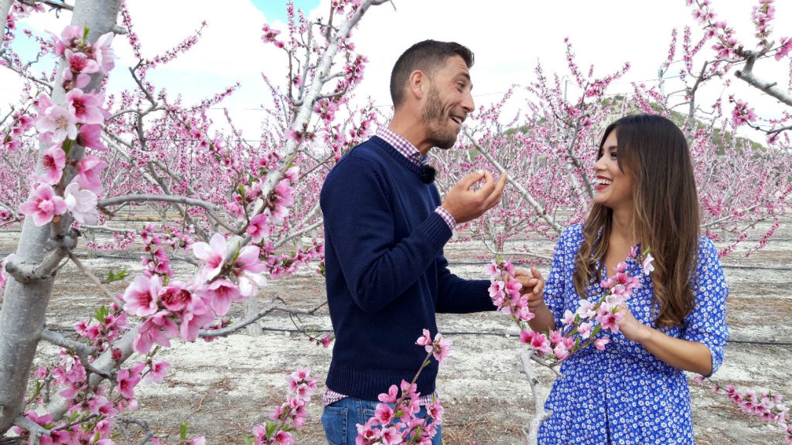 El corazón de las flores en Cieza