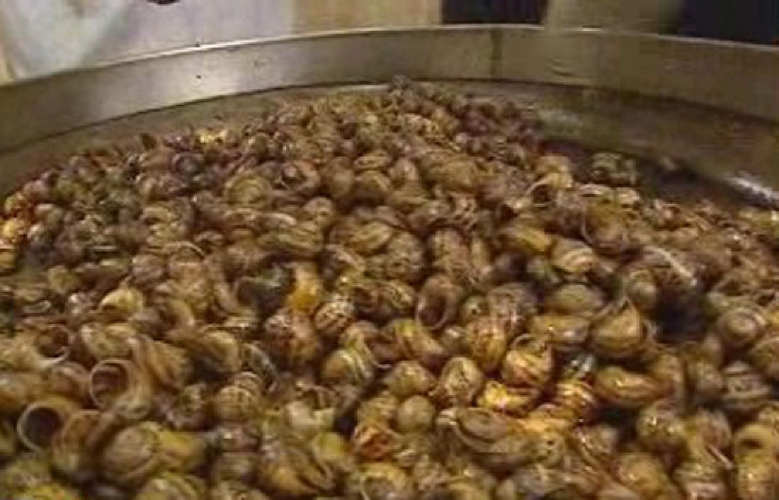 España Directo - Cocina toneladas de caracoles | Ver