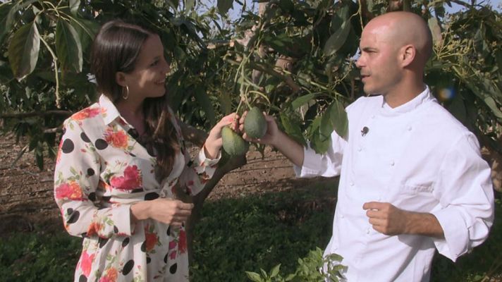 Aquí la Tierra - En Tenerife reina el aguacate