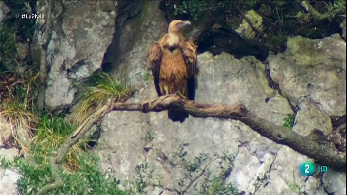 La 2 Noticias - Exposición Biodiversiart