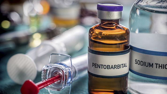 Telediario 1 - "Tiene que haber una ley que permita a cada persona ejercer