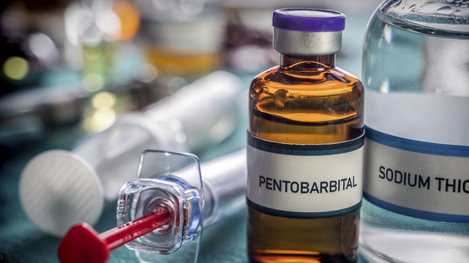 "Tiene que haber una ley que permita a cada persona ejercer su libertad"