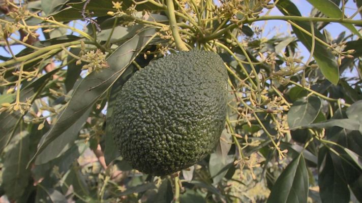 Aquí la Tierra - Aquí la Tierra - 04/04/19