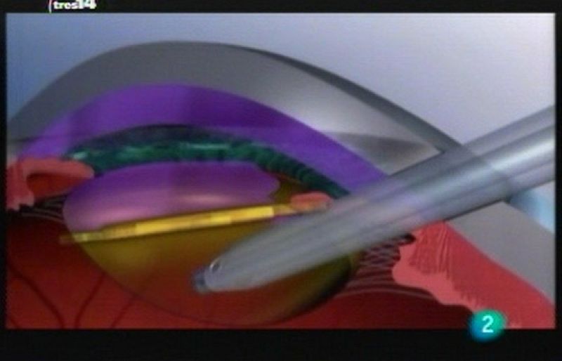 tres14 - Últimas noticias