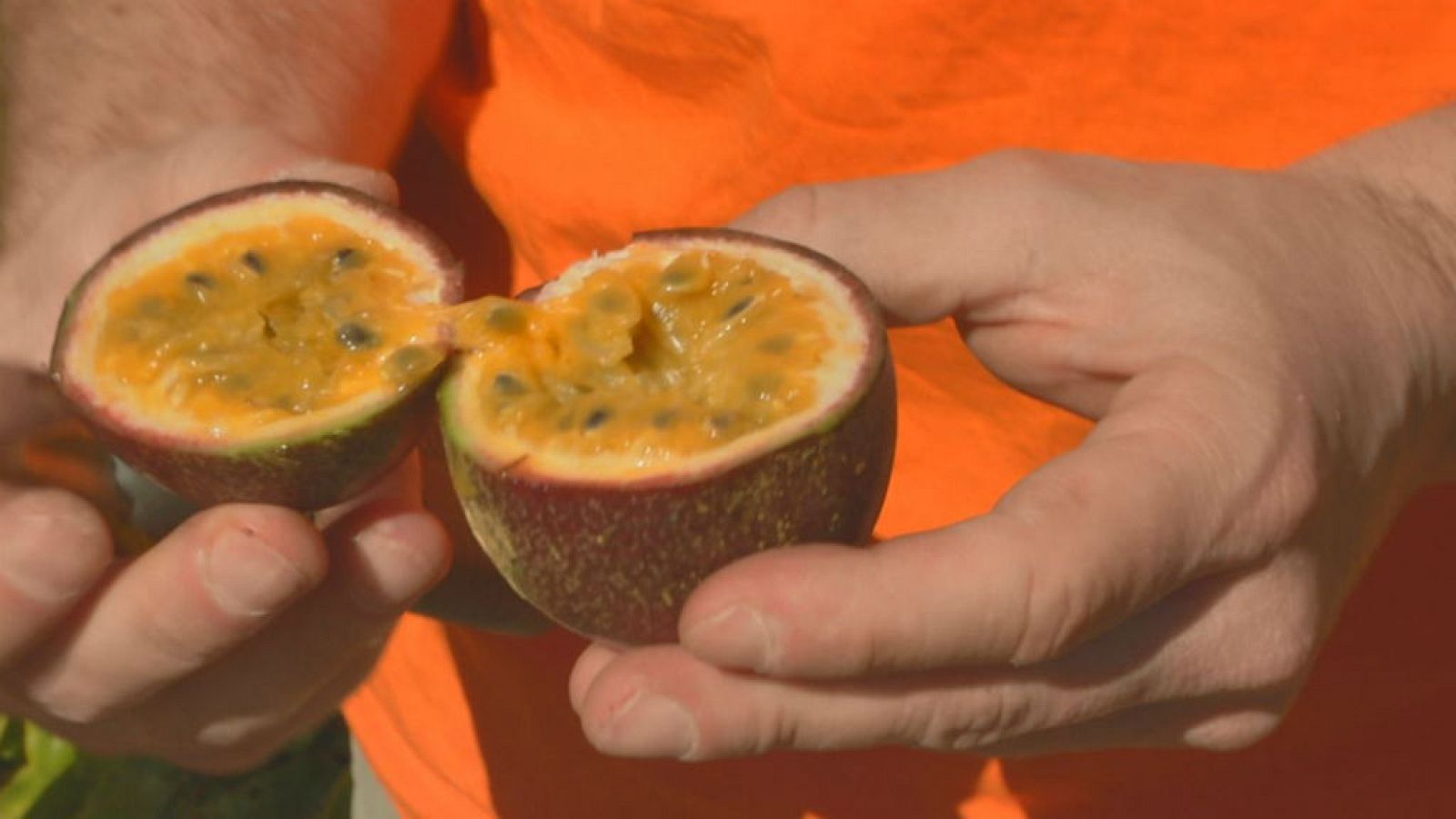 Maracuyá valenciana