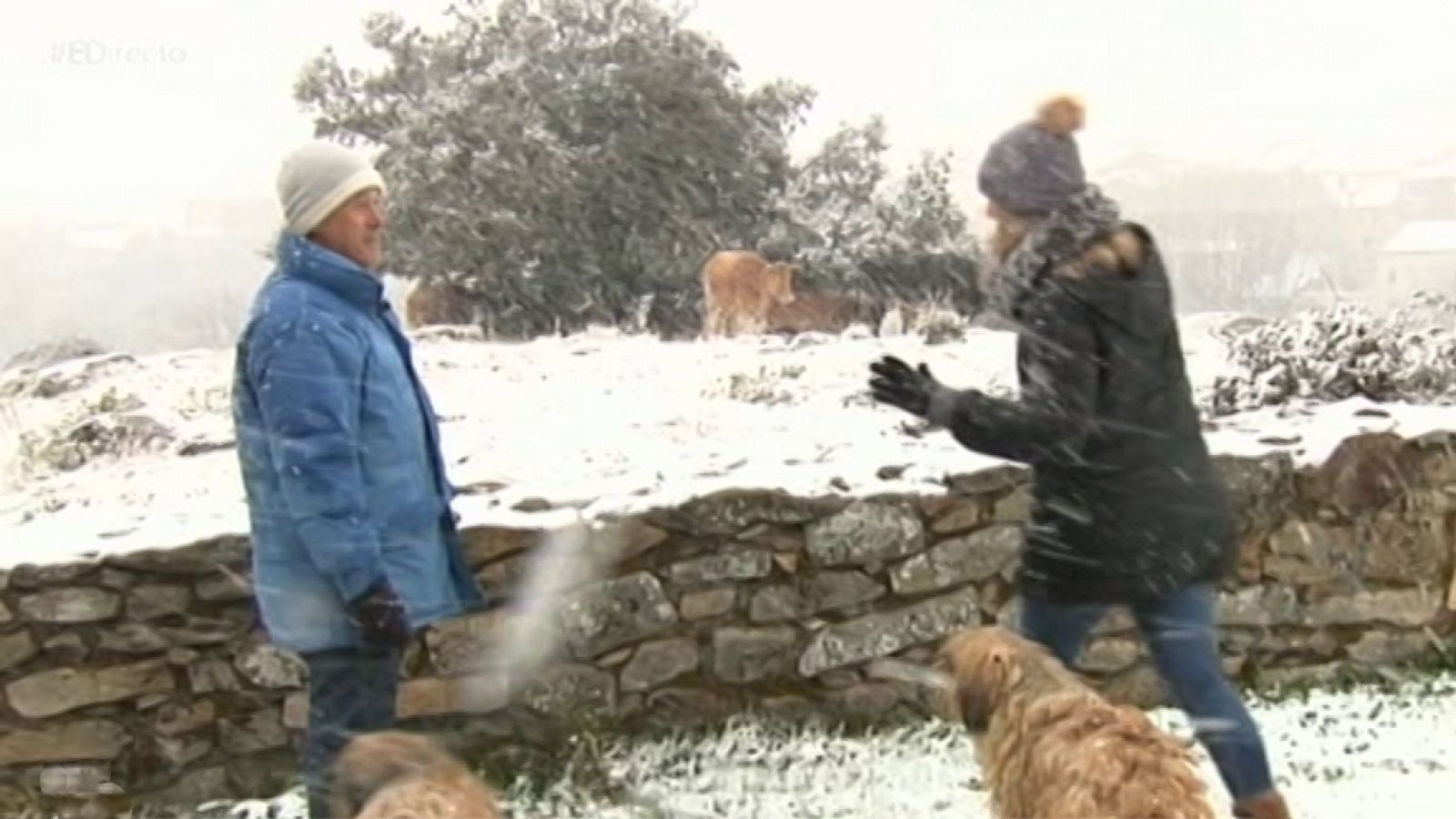 España Directo - 05/04/19 - ver ahora